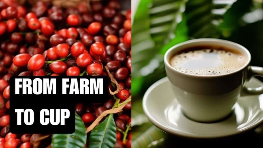 Coffee production process